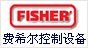美国FISHER